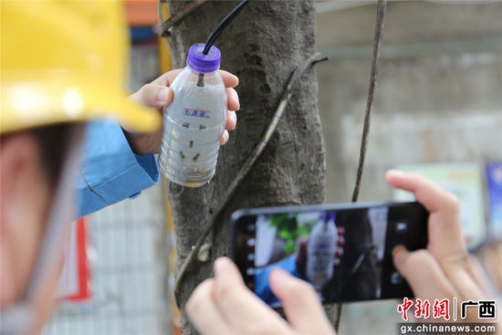 住戶為防止雨天插座漏電而套上的塑料瓶中積水明顯，存在漏電隱患。謝耘 攝